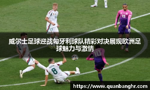 emc易倍